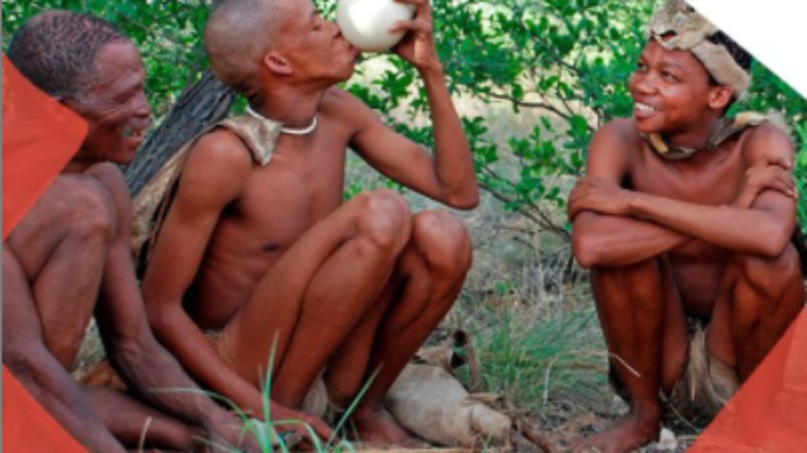 indigena